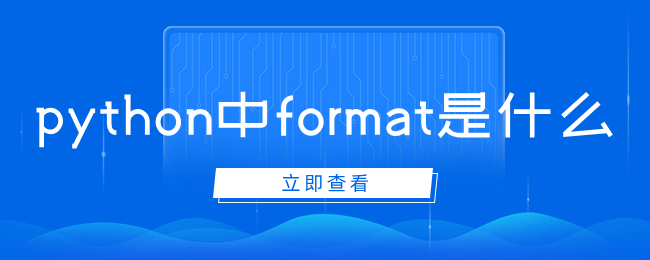 python中format是什么