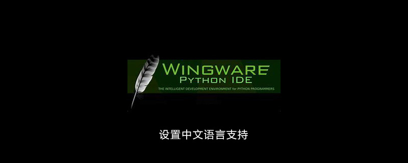 wingide怎样设置中文语言支持