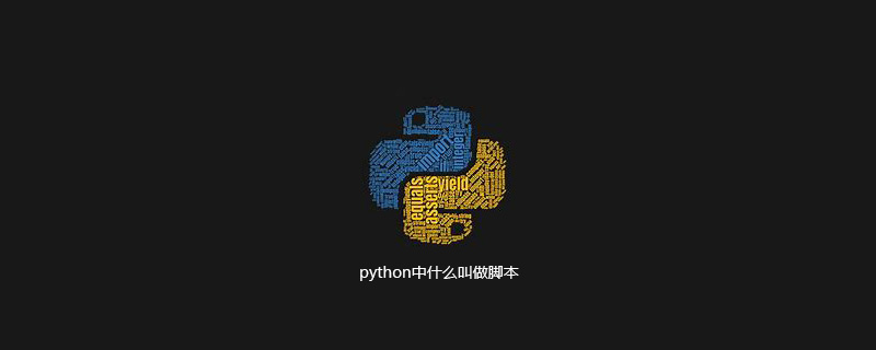 python中什么叫做脚本