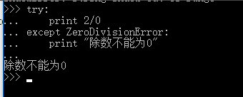 python如何捕获错误信息