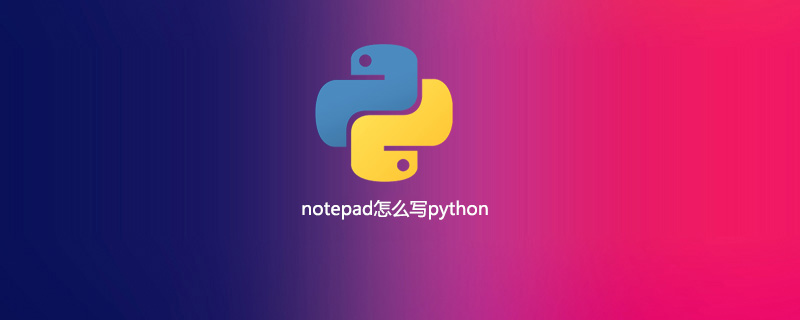 notepad怎么写python