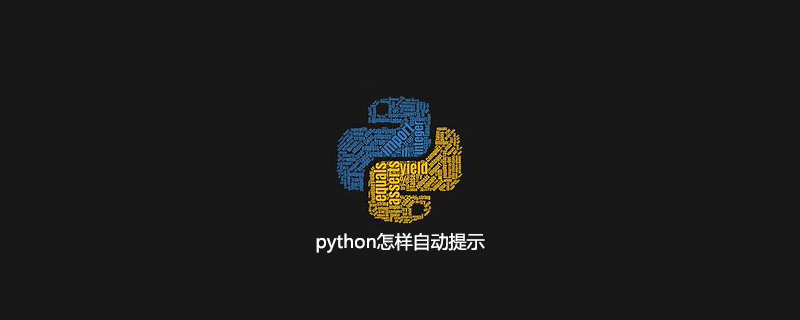 python怎样自动提示