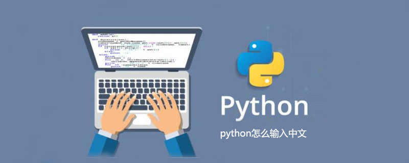 python怎么输入中文