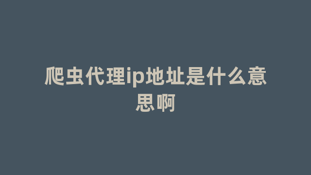 爬虫代理ip地址是什么意思啊