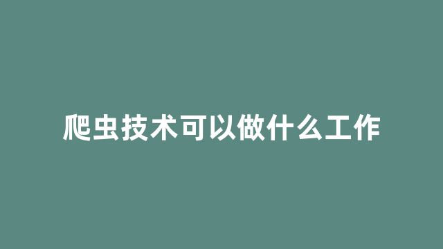 爬虫技术可以做什么工作