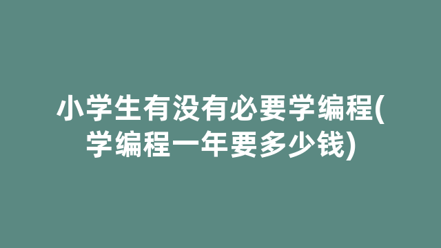 小学生有没有必要学编程(学编程一年要多少钱)