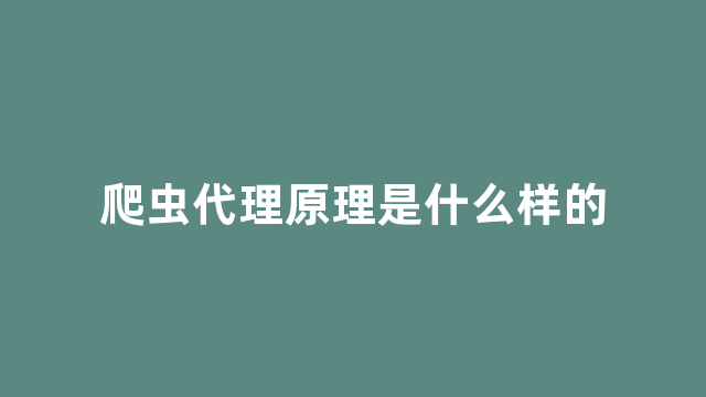 爬虫代理原理是什么样的