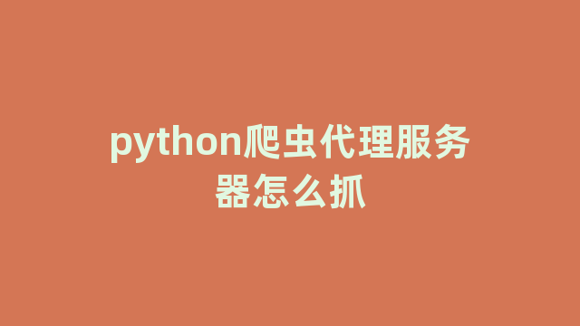 python爬虫代理服务器怎么抓