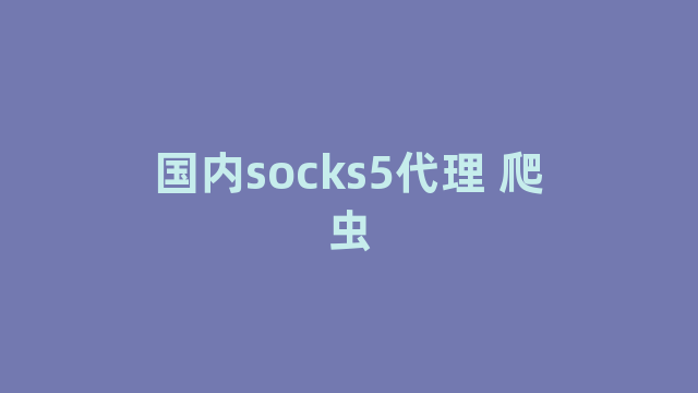 国内socks5代理 爬虫