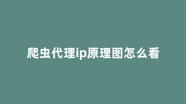 爬虫代理ip原理图怎么看