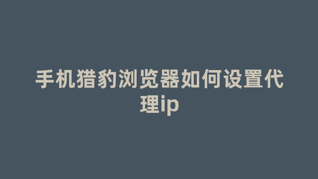 手机猎豹浏览器如何设置代理ip