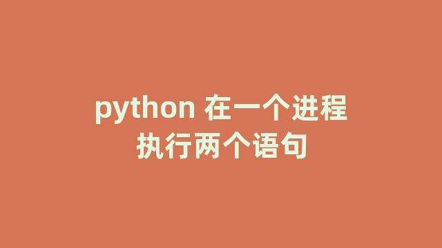 python 在一个进程执行两个语句