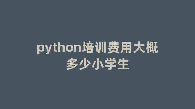 python培训费用大概多少小学生