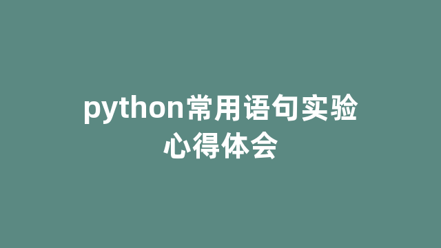 python常用语句实验心得体会