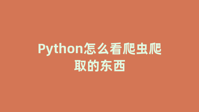 Python怎么看爬虫爬取的东西