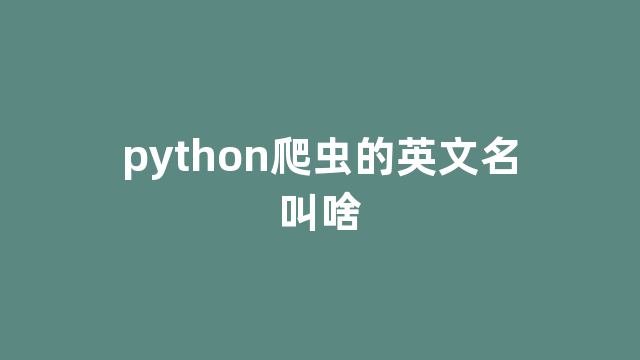 python爬虫的英文名叫啥