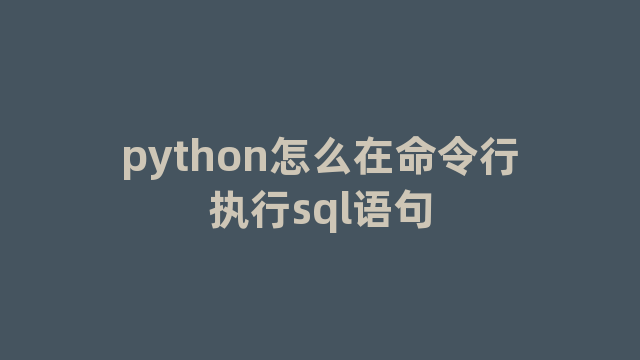 python怎么在命令行执行sql语句