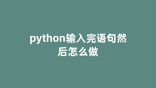 python输入完语句然后怎么做