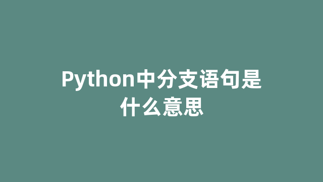 Python中分支语句是什么意思