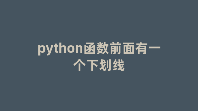 python函数前面有一个下划线