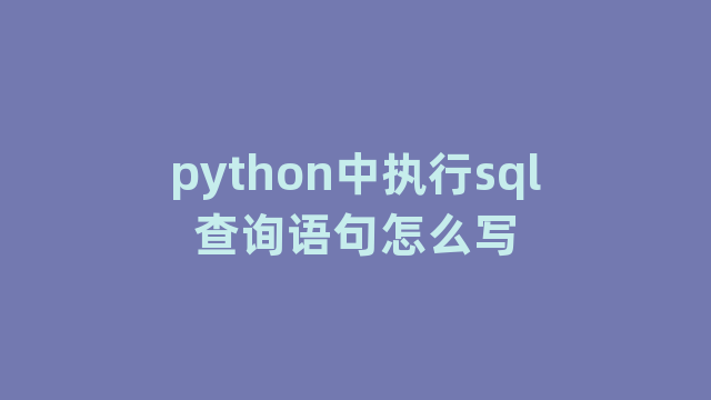 python中执行sql查询语句怎么写