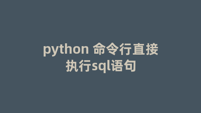 python 命令行直接执行sql语句