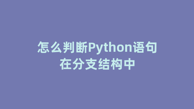 怎么判断Python语句在分支结构中