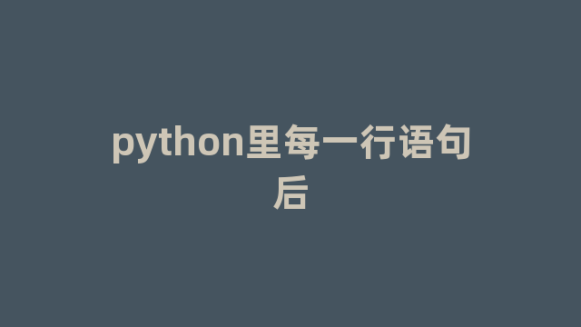 python里每一行语句后