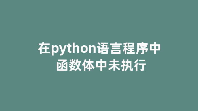 在python语言程序中 函数体中未执行