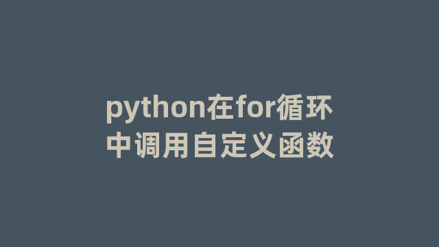 python在for循环中调用自定义函数