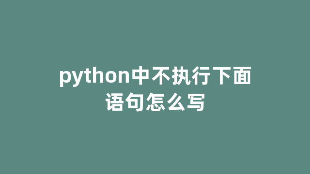 python中不执行下面语句怎么写