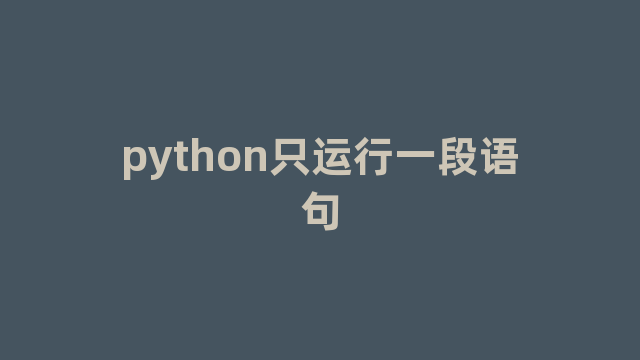 python只运行一段语句