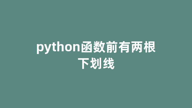 python函数前有两根下划线