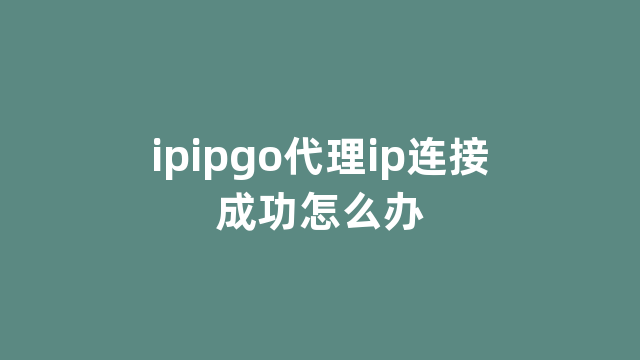 ipipgo代理ip连接成功怎么办